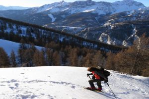 26 gennaio 2025 – Ciaspolata Costa del Bosco – Jafferau