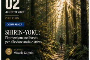 2 agosto 2026 – Serate CAI – Shirin Yoku, l’immersione nel bosco per alleviare ansia e stress