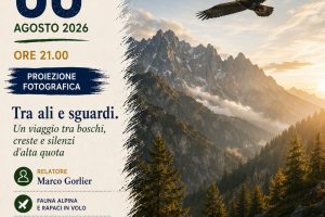 8 agosto 2026 – Serate CAI – Tra Ali e Sguardi, viaggio tra boschi, vette e silenzi d’alta quota