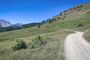 26 luglio 2026 – Cicloescursionismo Forte Foens Sentiero Bea