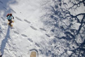 3 dicembre 2023- Ciaspolata alla Costa del Bosco allo Jafferau